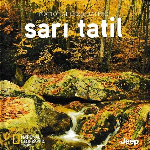 Sarı Tatil ürün görseli 1