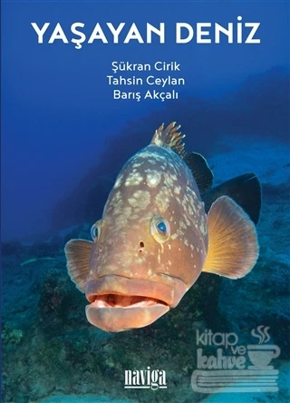 Yaşayan Deniz ürün görseli 1