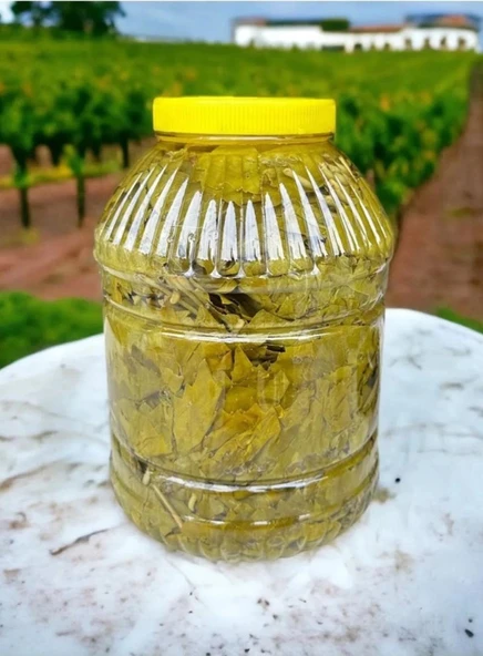 Ege'den Sultaniye Salamura Asma Yaprak Yeni Mahsul Sıfır Sap 5 Kg.Bidon(Net 5 Kg Bürüt:3,2 Kg Yaprak-1,8 Kg.Salamura Su) ürün görseli 1