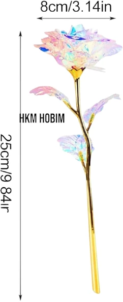 Sonsuzluk Gülü - Resim 2
