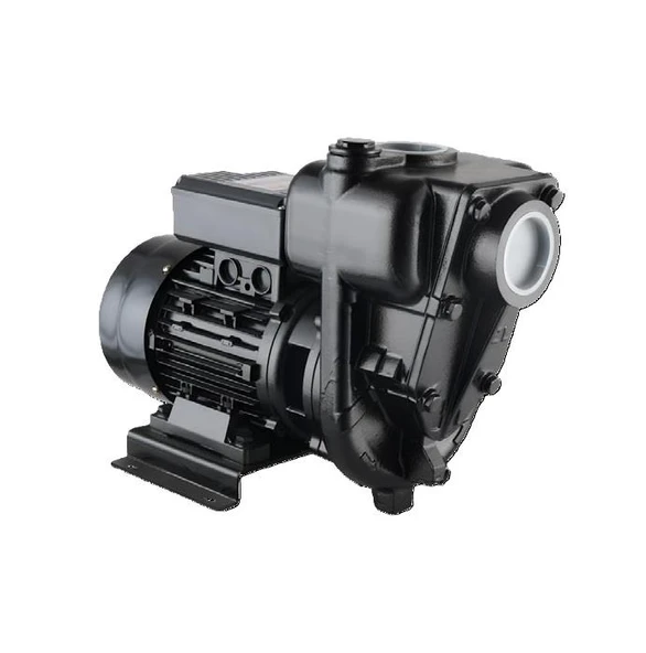 Water Sound DYB-600 Mazot Pompası 2hp ürün görseli 1