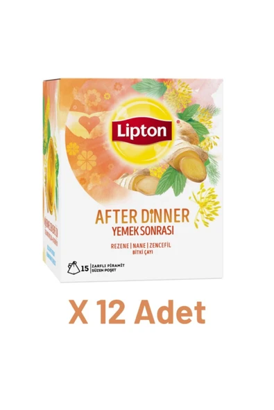 Lipton After Dinner - Yemek Sonrası Bardak Poşet Bitki Çayı 15li X 12 Adet ürün görseli 1
