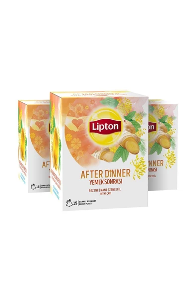 Lipton After Dinner Bardak Poşet Bitki Çayı X 3 Adet - Resim 2