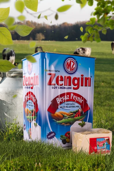 ZENGİN Tam Yağlı Beyaz Peynir Lokum Kıvam 18 KG Teneke ürün görseli 1