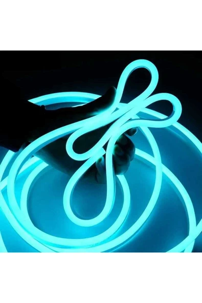 ECONA Neon Led 5 Metre Esnek Neon Led Aydınlatma Neon Şerit Led ürün görseli 1