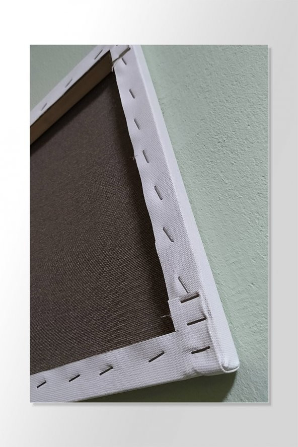 Tablohome Profesyonel Tuval - 50x50 ürün görseli 1