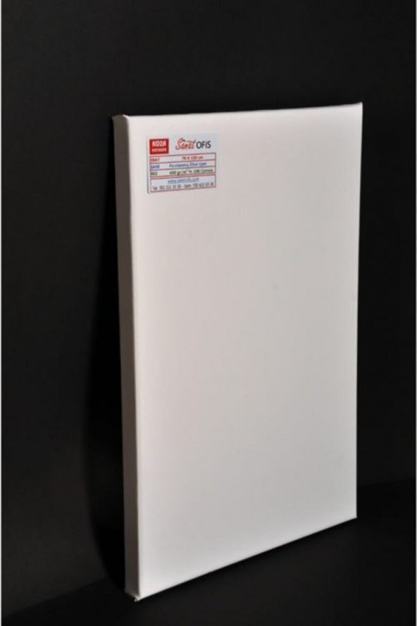 Koza Sanatofis 70 X 100 Cm Profesyonel Tuval ürün görseli 1