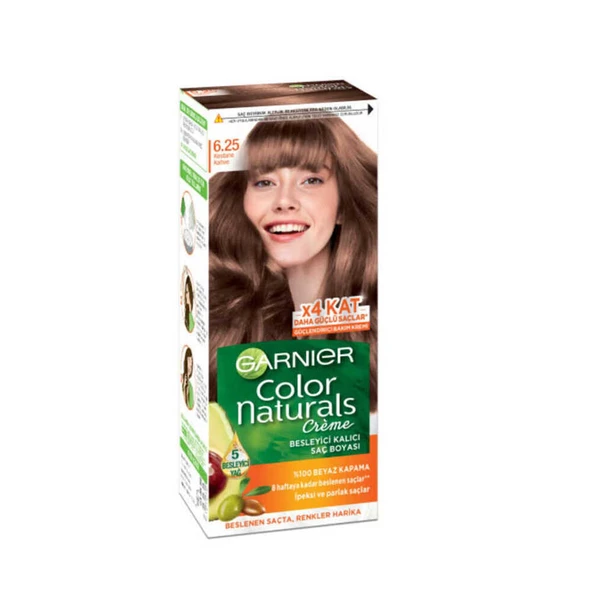 GARNIER COLOR NATUREL (6,25) KESTANE KAHVE *12 ürün görseli 1