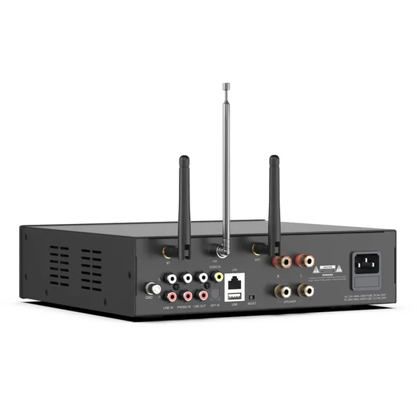 Arylic A100 Stream Amfi - Resim 4