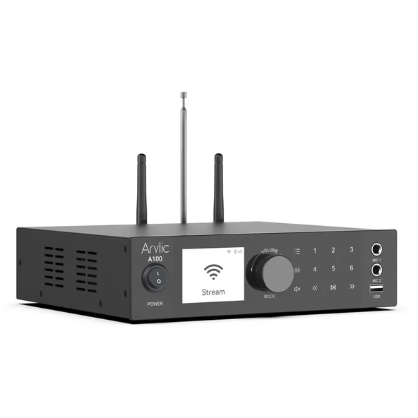 Arylic A100 Stream Amfi - Resim 9