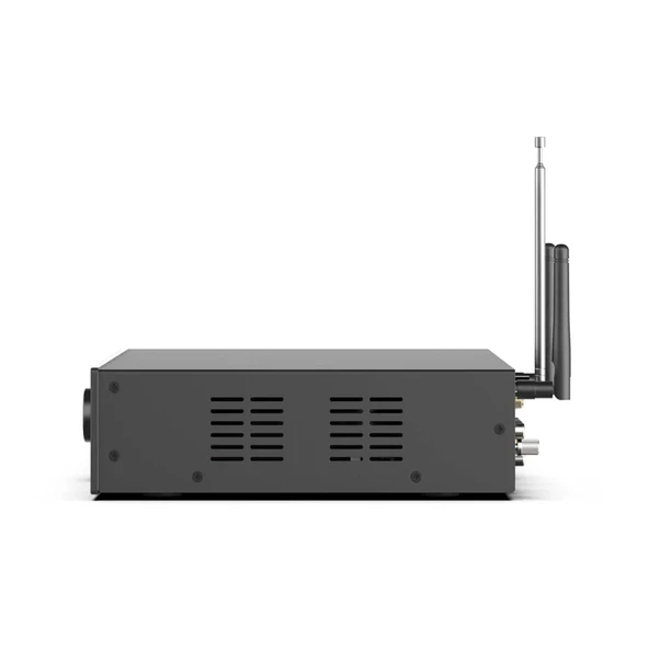 Arylic A100 Stream Amfi - Resim 3