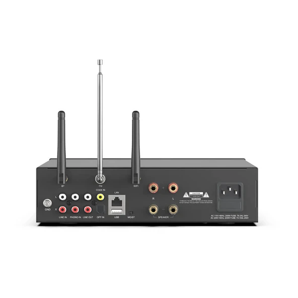 Arylic A100 Stream Amfi - Resim 5