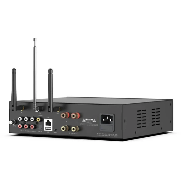 Arylic A100 Stream Amfi - Resim 6