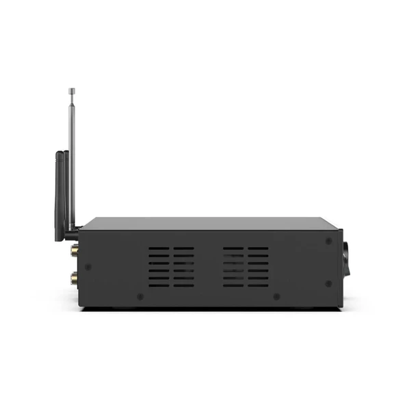 Arylic A100 Stream Amfi - Resim 8