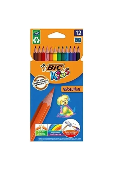 Bic Kids Evolution 12 Renk Kuru Boya Büyük Boy 82902910 ürün görseli 1