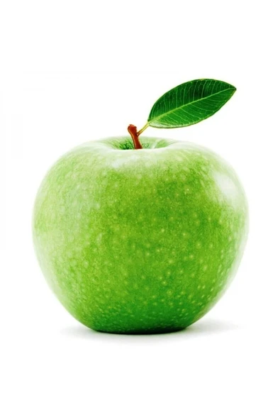 TAŞKAR PEYZAJ Bodur Granny Smith Elma Fidanı Aşılı ( 2 Yaş \ Açık Köklü \ 30-40 Cm ) ürün görseli 1