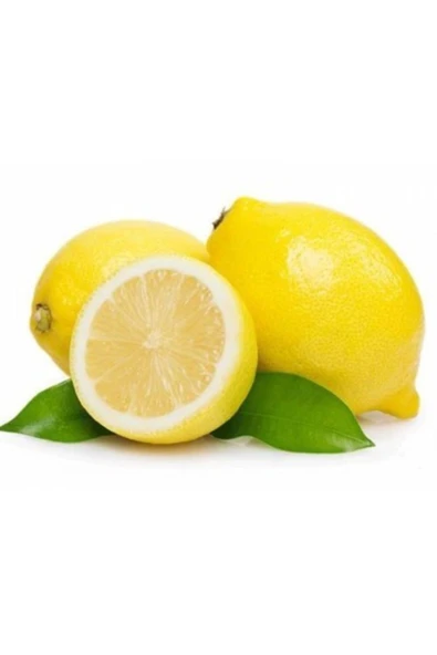TAŞKAR PEYZAJ Yediveren Limon Fidanı ( Aşılı ) - Tüplü 100-120 Cm ürün görseli 1