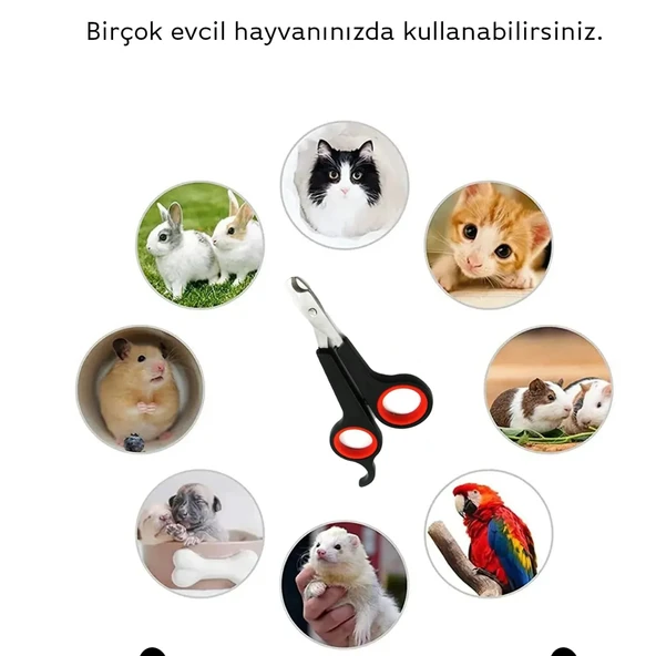 Mucit Home  Evcil Hayvanlar İçin Tırnak Makası/ Kedi Köpek Pet Tırnak Makası ürün görseli 1