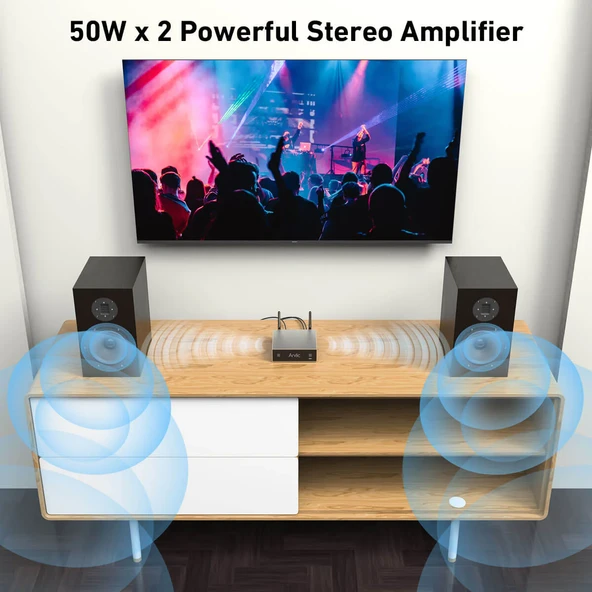 Arylic A50+ 50W X2 Stream Amfi - Resim 4
