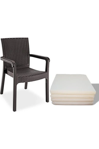 Violet Rattan Bahçe Balkon Kantin Plaj 2 Ad Sandalye 2 Minder ürün görseli 1
