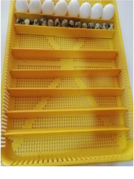 KARAHİSAR KULUÇKA Gelişim Ve Çıkım Tablası ürün görseli 1