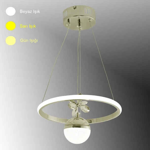TT037-YUV-FSR TT Aydınlatma Halka Model Fransız Sarı Kaplama Tek Toplu Led Avize ürün görseli 1