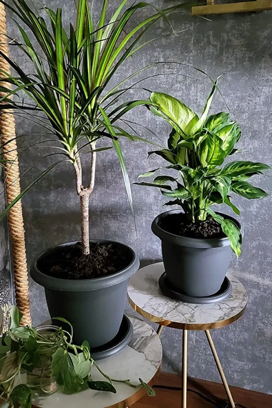 Serinova 22 Litre 42x31cm Tabaklı Plastik Büyük Boy Yuvarlak Saksı Villa No9 Antrasit Gri ürün görseli 1