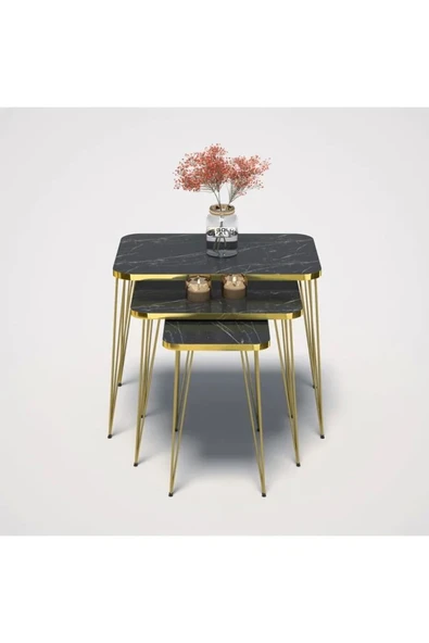Zigon Sehpa Kr Gold Bendir Tel - Resim 4