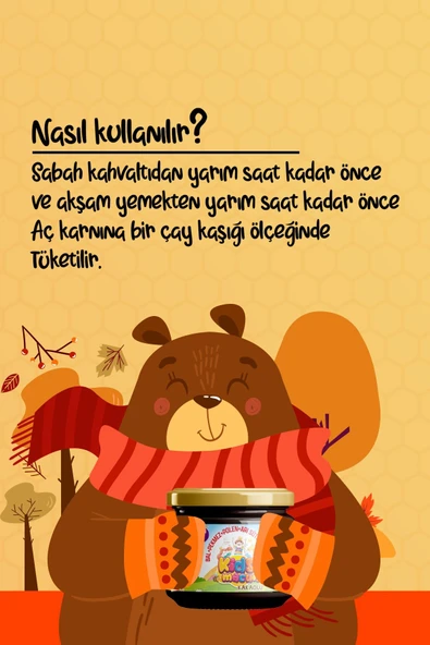 NLİFE KİDS MACUN ÇOCUKLARA ÖZEL GLİKOZSUZ BAL PEKMEZ POLEN VE ARI SÜTÜ 3 LÜ SET KAKAOLU 3X350 GR ürün görseli 1
