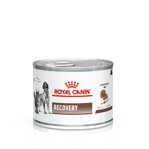 Royal Canın 195 gr Recovery Kedi Köpek Konservesi 195 gr x 6 ürün görseli 1