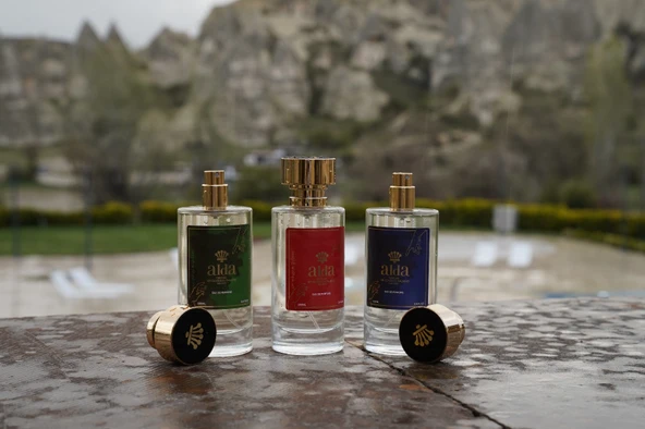 BU3 Odunsu Edp Erkek Parfüm 110 ml - Resim 4