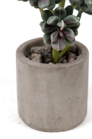 Beton Saksıda Yapay Kaktüs - Resim 3