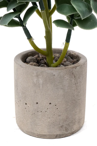 Beton Saksıda Yapay Kaktüs - Resim 3