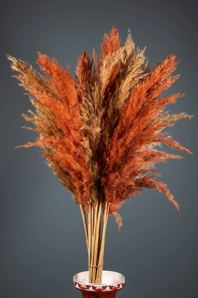 Turuncu Naturel Pampas 16 Adet - Resim 10