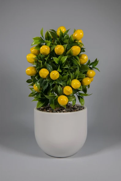 Beyaz Beton Saksıda Yapay Limon Ağacı ürün görseli 1