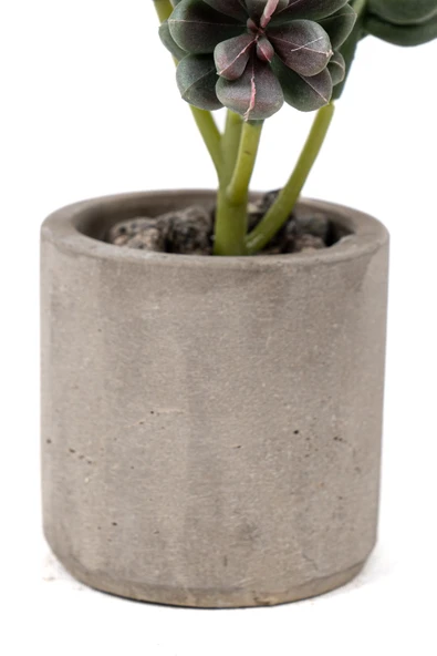 Beton Saksıda Yapay Kaktüs - Resim 4