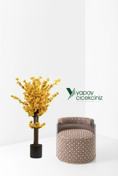 Gri Saksıda 100 Cm Sarı Bahardalı - Resim 3