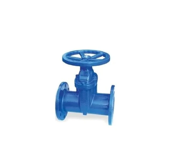 Klepsan 1180 Elastomer Sürgülü Vana F4 Gg40 Dn50 ürün görseli 1