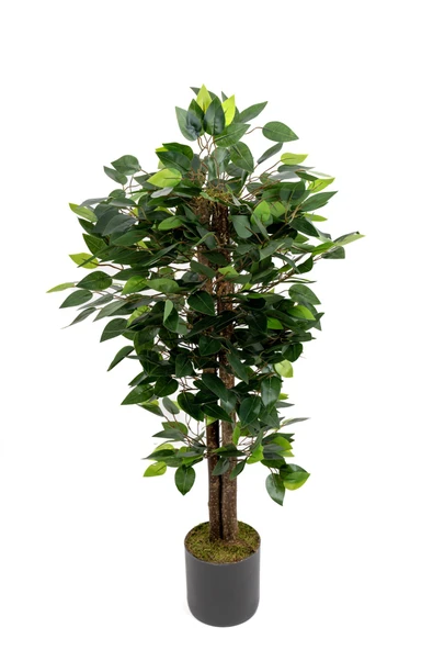 Yapay Benjamin Ağacı 110 Cm - Resim 2