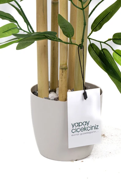 Taş Detaylı Saksıda 60 Cm Yapay Bambu Ağacı - Resim 4