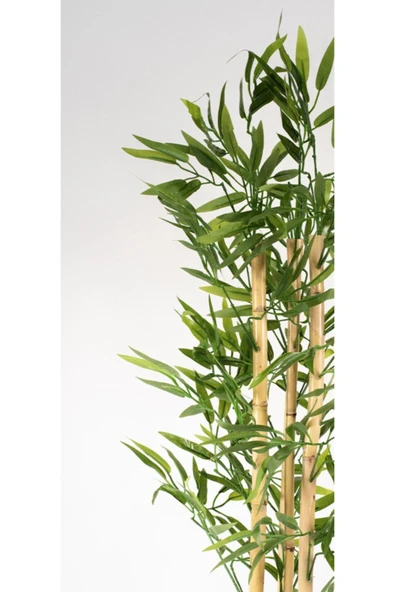 Yapay Bambu Ağacı 100 Cm 4 Bambulu - Resim 3