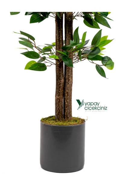 Yapay Benjamin Ağacı 110 Cm - Resim 4