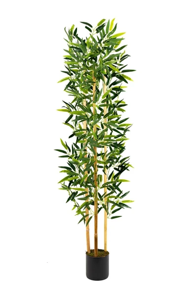 Yapay Yoğun Yapraklı Dekoratif Bambu Ağacı 3 Gövde 150cm ürün görseli 1