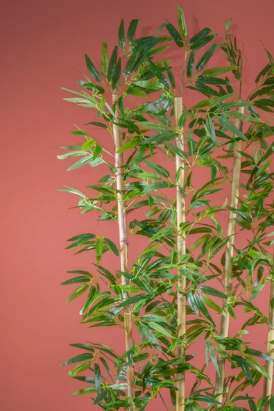 170 Cm Bambu Seperatör - Resim 2