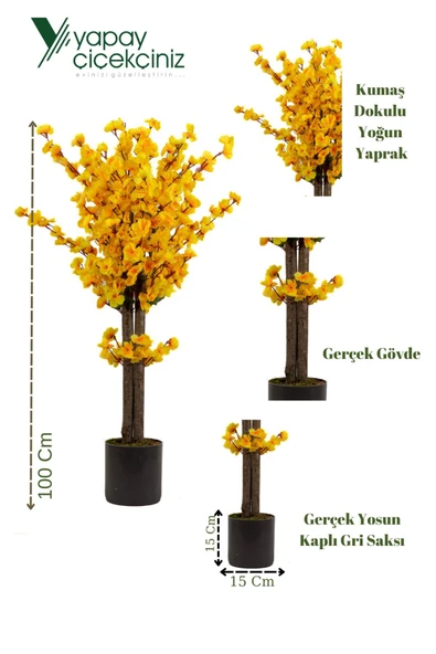 Gri Saksıda 100 Cm Sarı Bahardalı - Resim 4