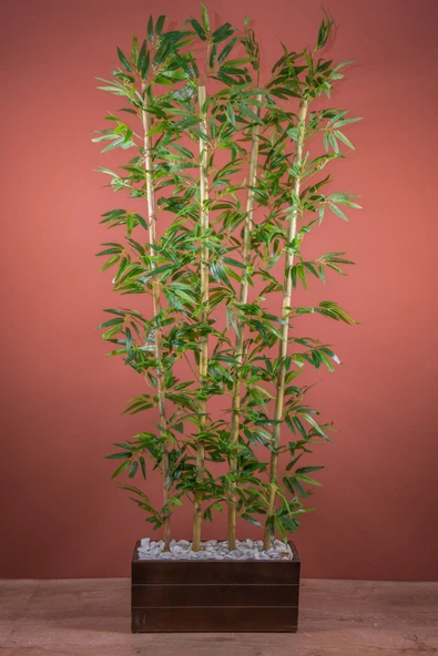 170 Cm Bambu Seperatör ürün görseli 1