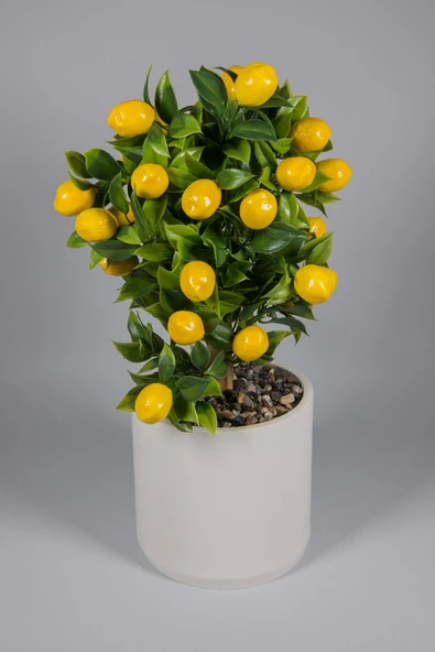 Düz Beyaz Beton Saksıda Yapay Limon Ağacı ürün görseli 1