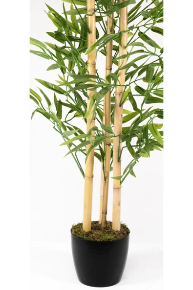 Yapay Bambu Ağacı 100 Cm 4 Bambulu - Resim 2