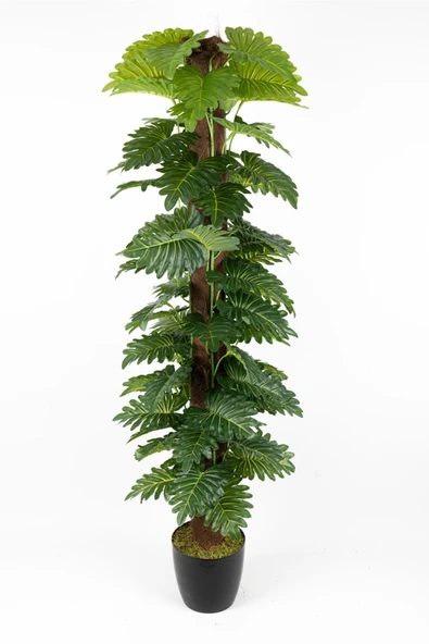 YAPAY ÇİÇEKÇİNİZ YAPAY MONSTERA AĞACI 150 CM ürün görseli 1