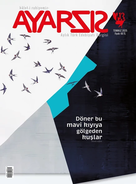Ayarsız Dergi 113.Sayı Temmuz 2025 ürün görseli 1